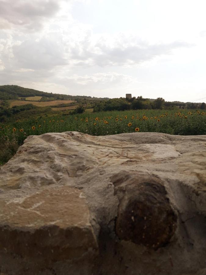 Castello Nuovo Di Fiore - Appartamento 1 Zewnętrze zdjęcie